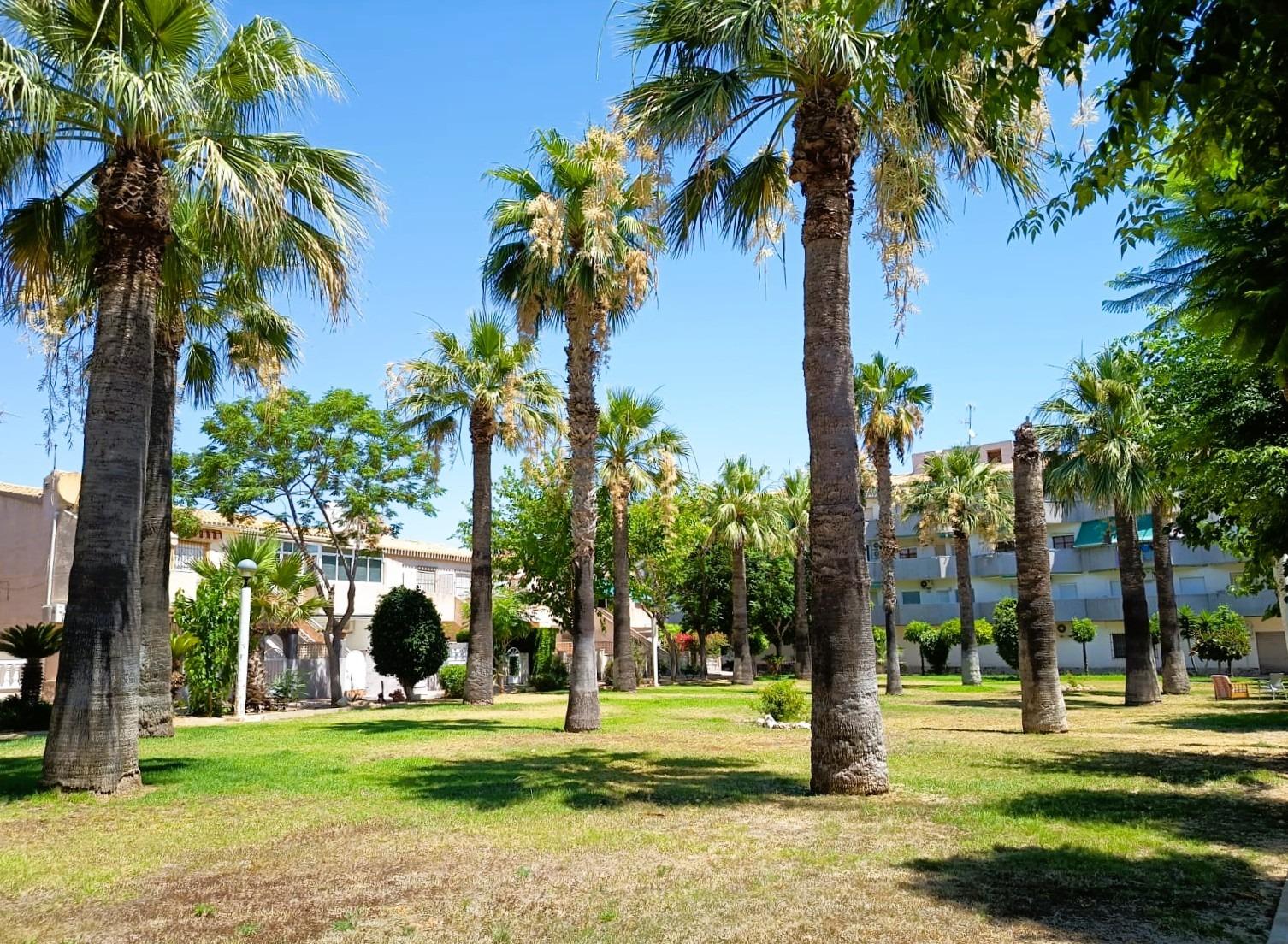 Bungalow in La Regia, Alicante, Spanien 2 Schlafzimmer, 70 m2 Nr. 181864