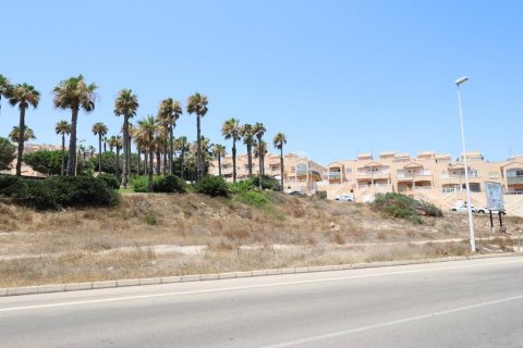 Land in Torrevieja, Alicante, Spanien Nr. 181861