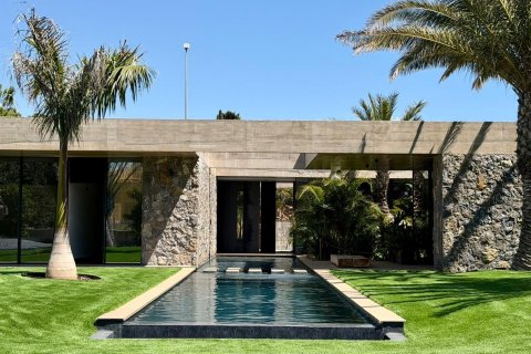 Huvila Alicante, Espanja 3 makuuhuonetta, 300 m2 No. 179395