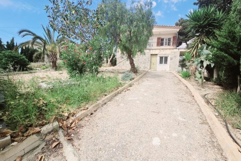 Apartment in Torrevieja, Alicante, Spain 4 bedrooms, 150 sq.m. No. 166038