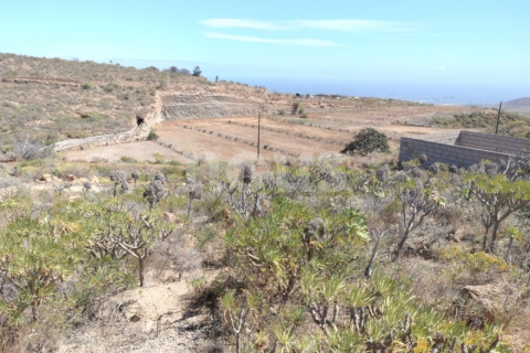 Land plot in Chimiche, Tenerife, Spain No. 194730