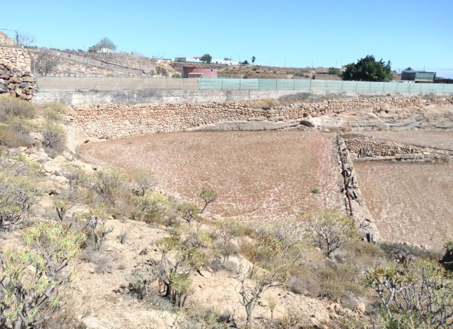 Działka w Chimiche, Tenerife, Hiszpania nr 194730