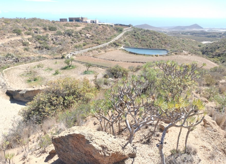 Działka w Chimiche, Tenerife, Hiszpania nr 194730