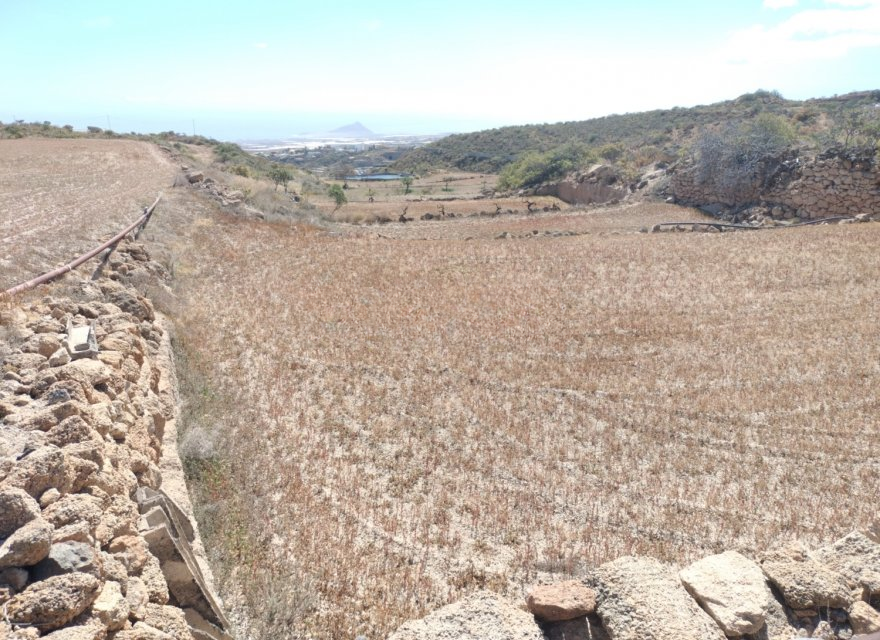 Działka w Chimiche, Tenerife, Hiszpania nr 194730