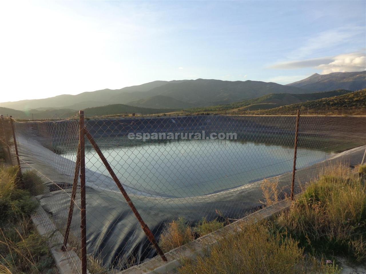 Land in Purchena, Almeria, Spanien Nr. 184119