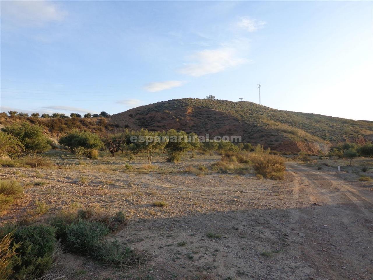 Land in Purchena, Almeria, Spanien Nr. 184119