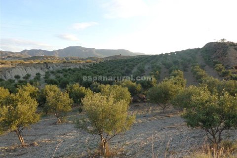 Działka w Purchena, Almeria, Hiszpania nr 184119