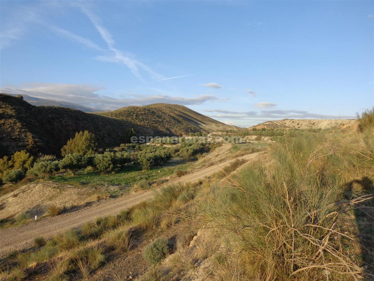 Land in Purchena, Almeria, Spanien Nr. 184119