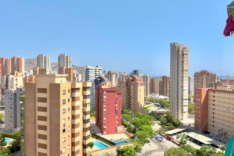 Apartment in Benidorm, Alicante, Spain 51 sq.m. No. 191724