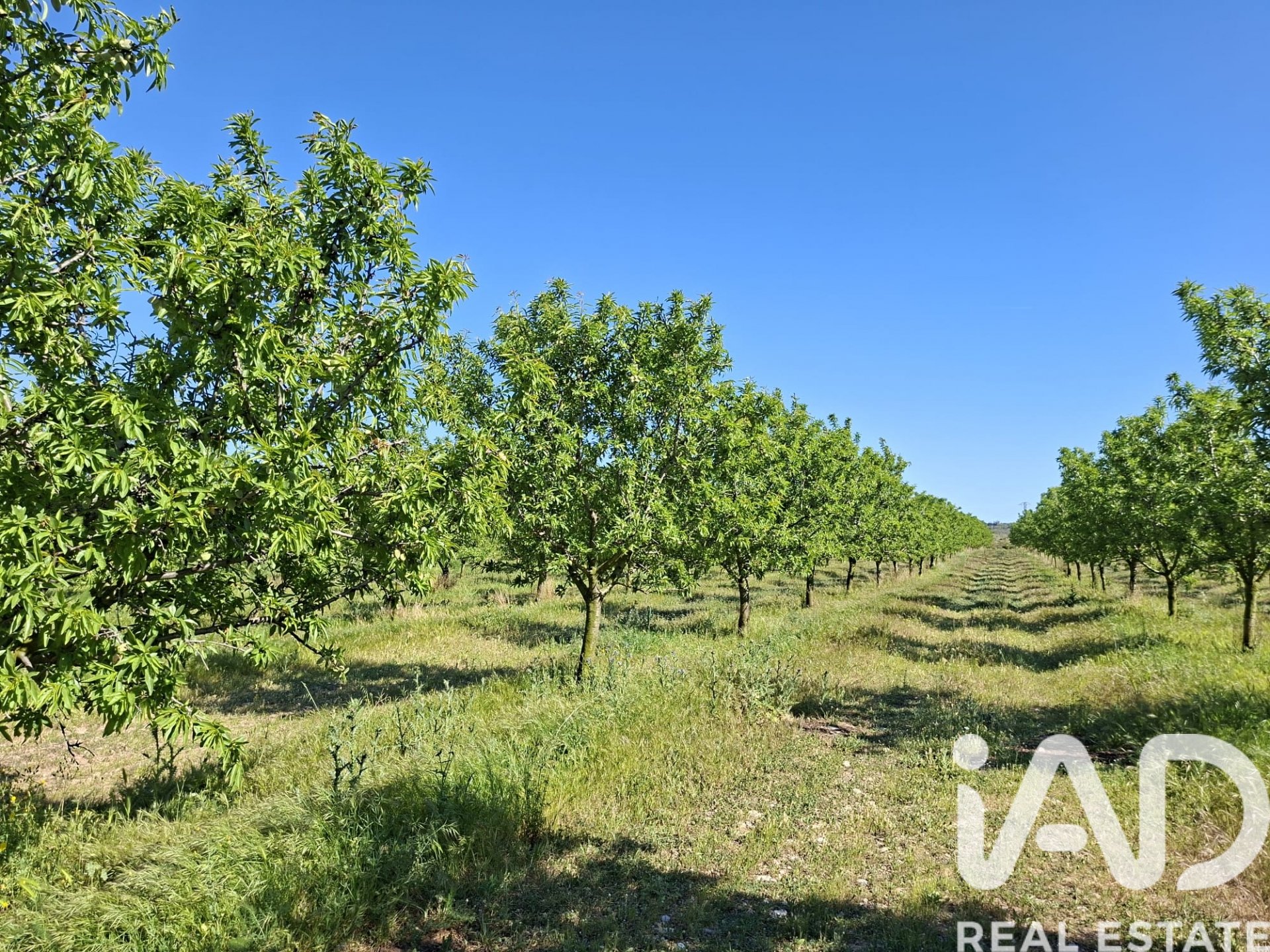Gewerbeimmobilien in Ulldecona, Tarragona, Spanien Nr. 172652