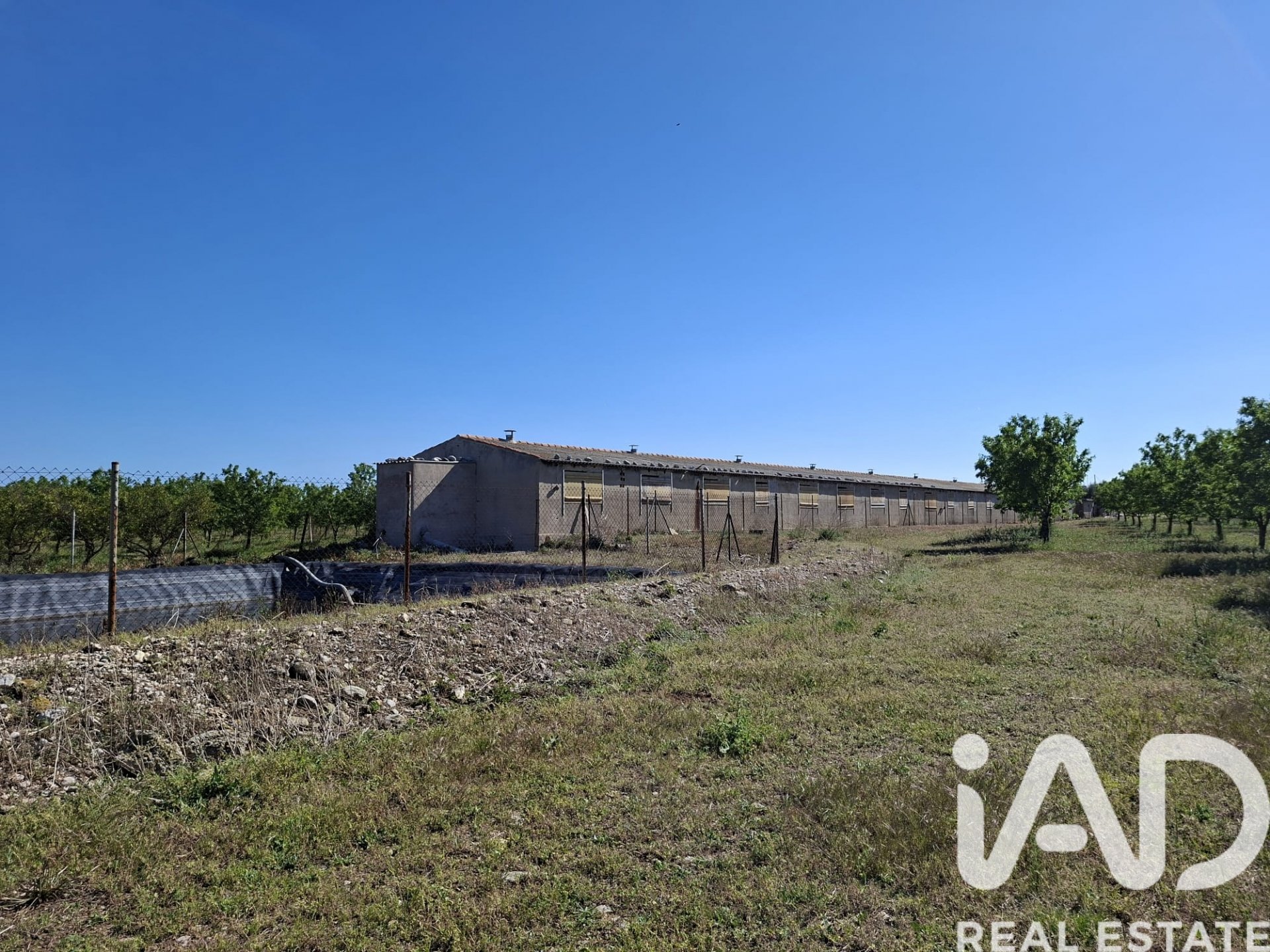 Gewerbeimmobilien in Ulldecona, Tarragona, Spanien Nr. 172652