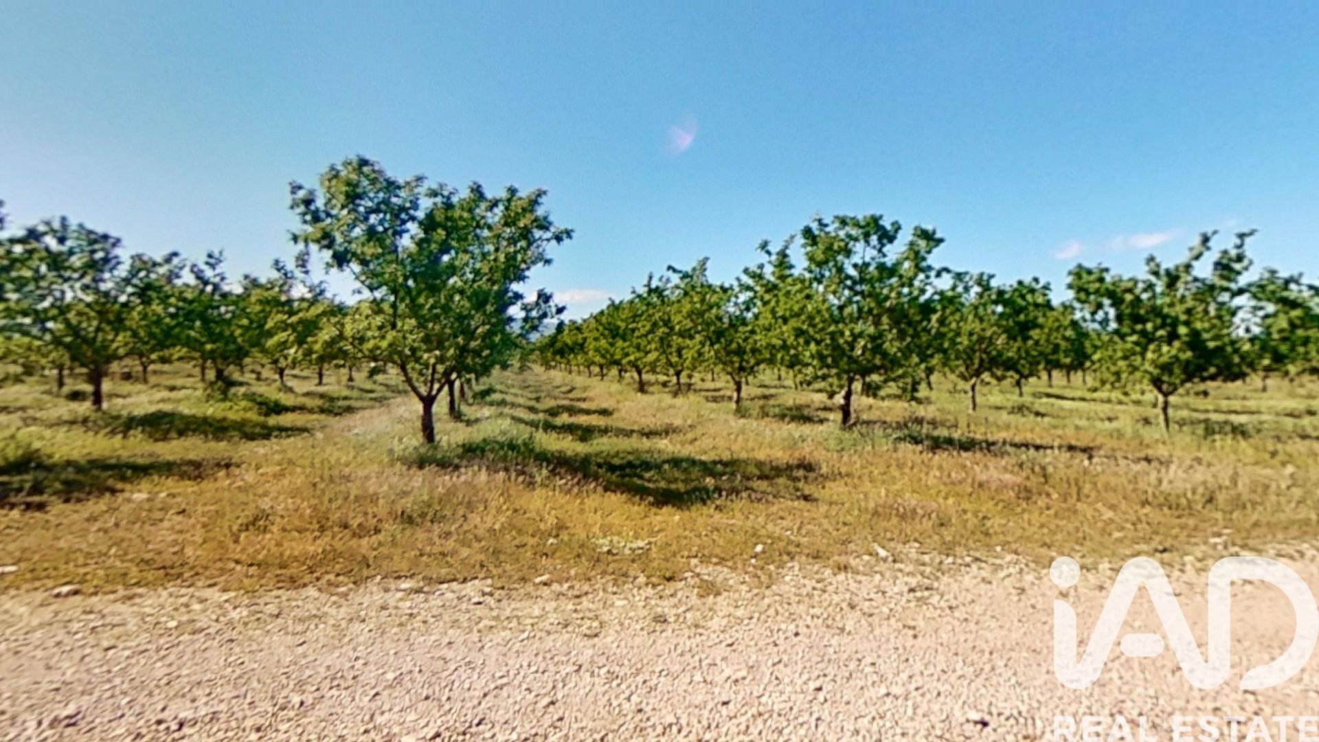 Gewerbeimmobilien in Ulldecona, Tarragona, Spanien Nr. 172652