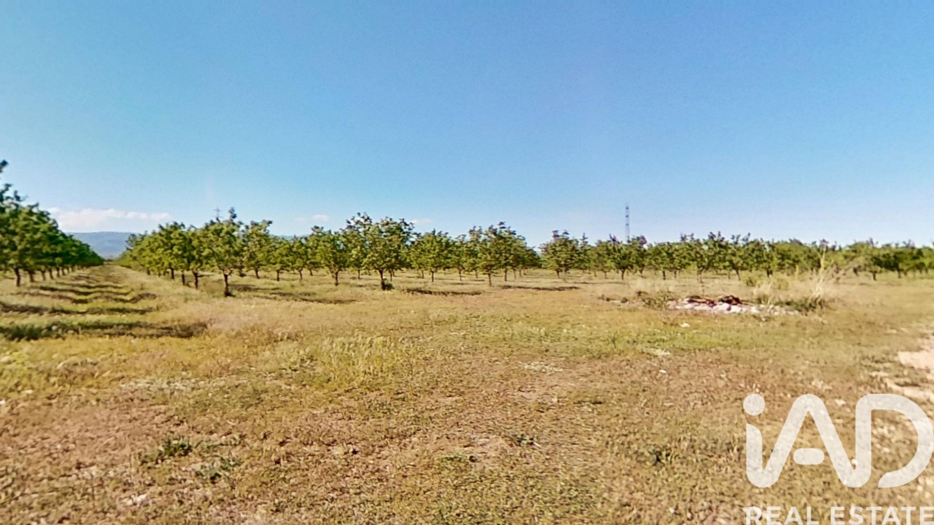 Gewerbeimmobilien in Ulldecona, Tarragona, Spanien Nr. 172652