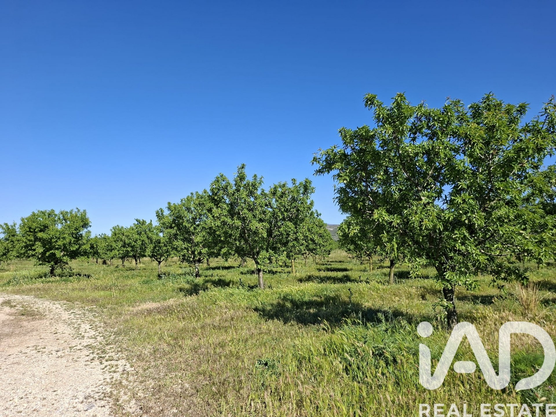 Gewerbeimmobilien in Ulldecona, Tarragona, Spanien Nr. 172652