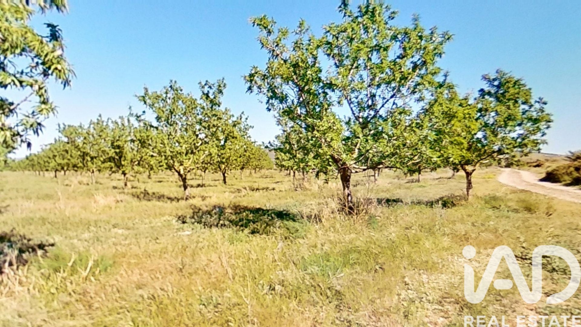Gewerbeimmobilien in Ulldecona, Tarragona, Spanien Nr. 172652