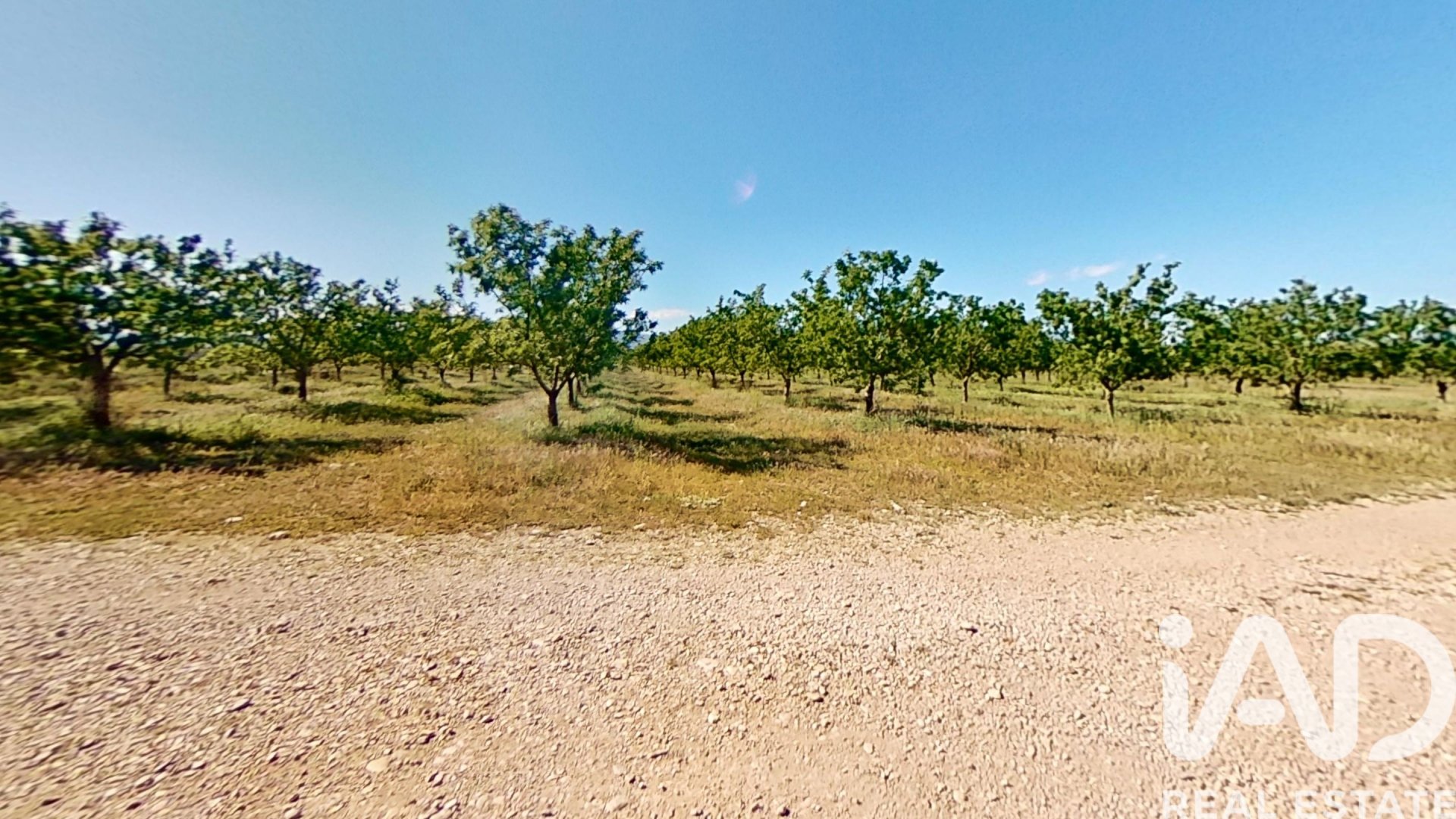 Gewerbeimmobilien in Ulldecona, Tarragona, Spanien Nr. 172652