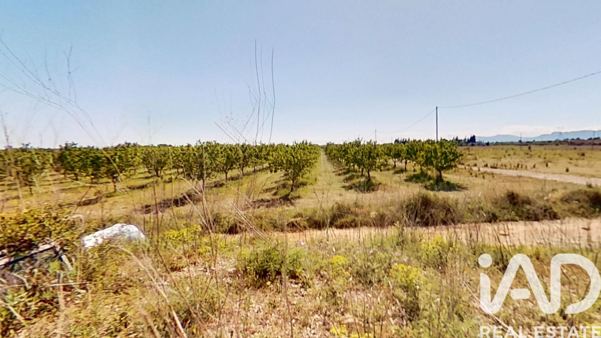 Gewerbeimmobilien in Ulldecona, Tarragona, Spanien Nr. 172652
