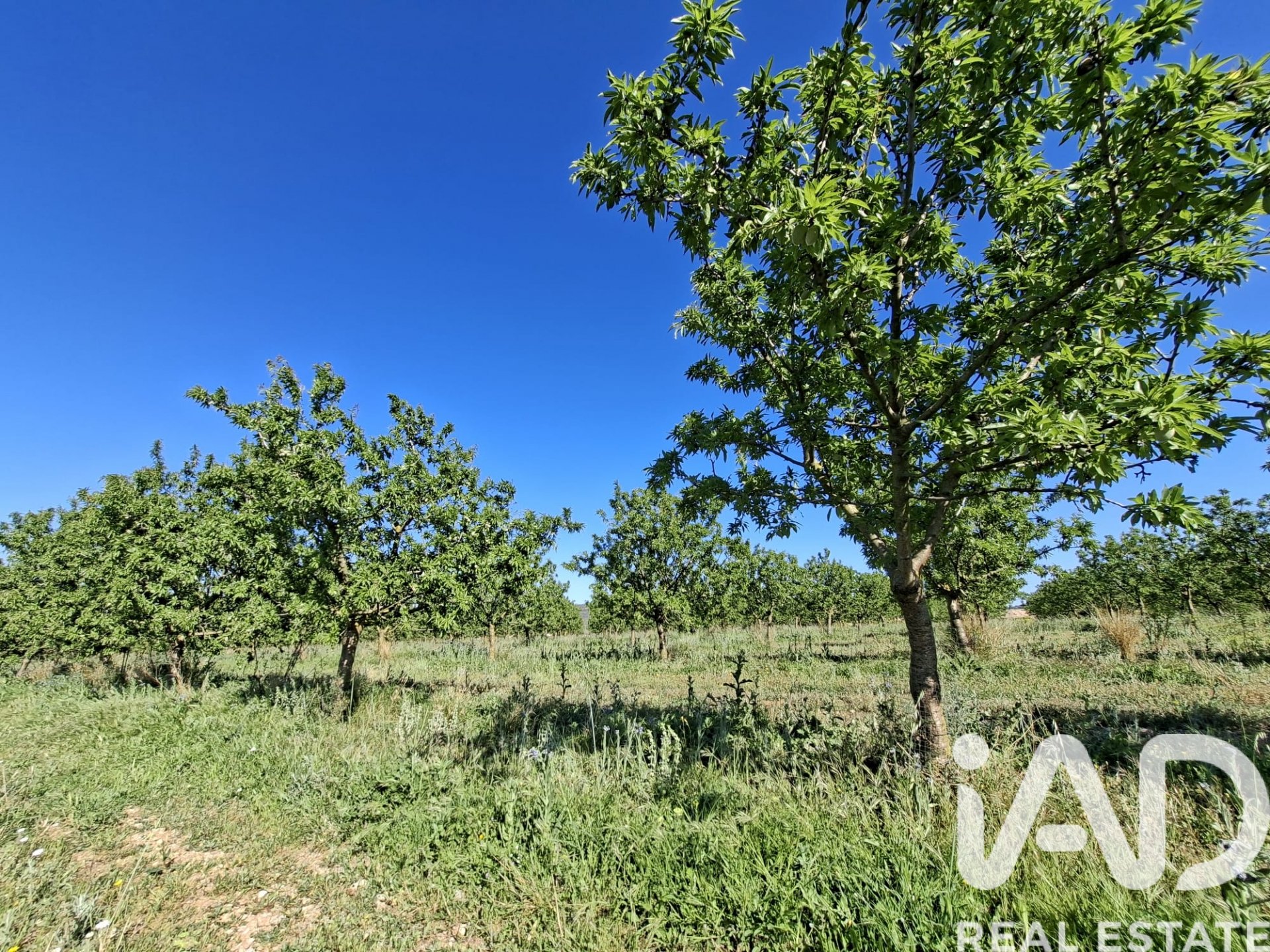 Gewerbeimmobilien in Ulldecona, Tarragona, Spanien Nr. 172652