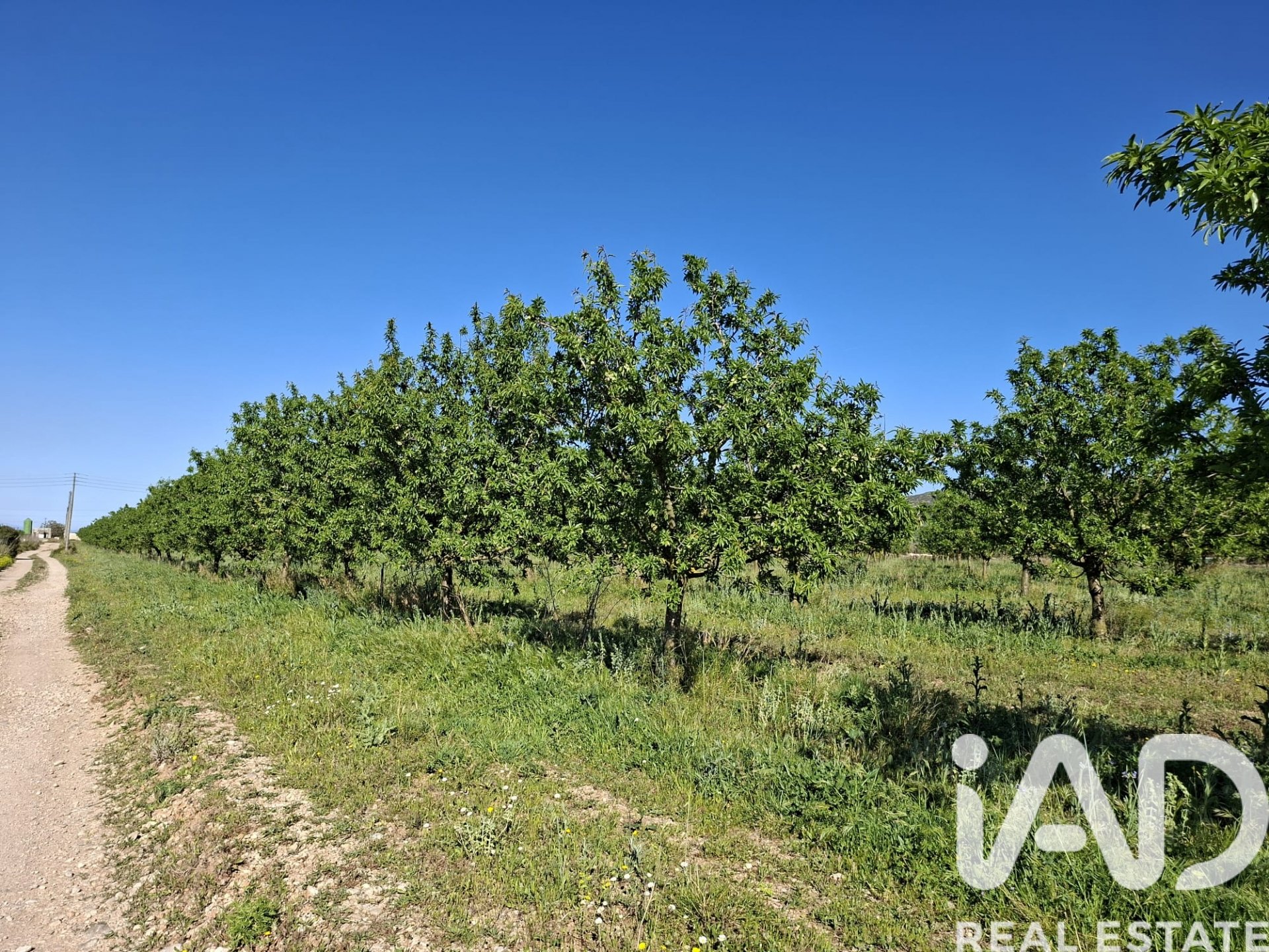 Gewerbeimmobilien in Ulldecona, Tarragona, Spanien Nr. 172652