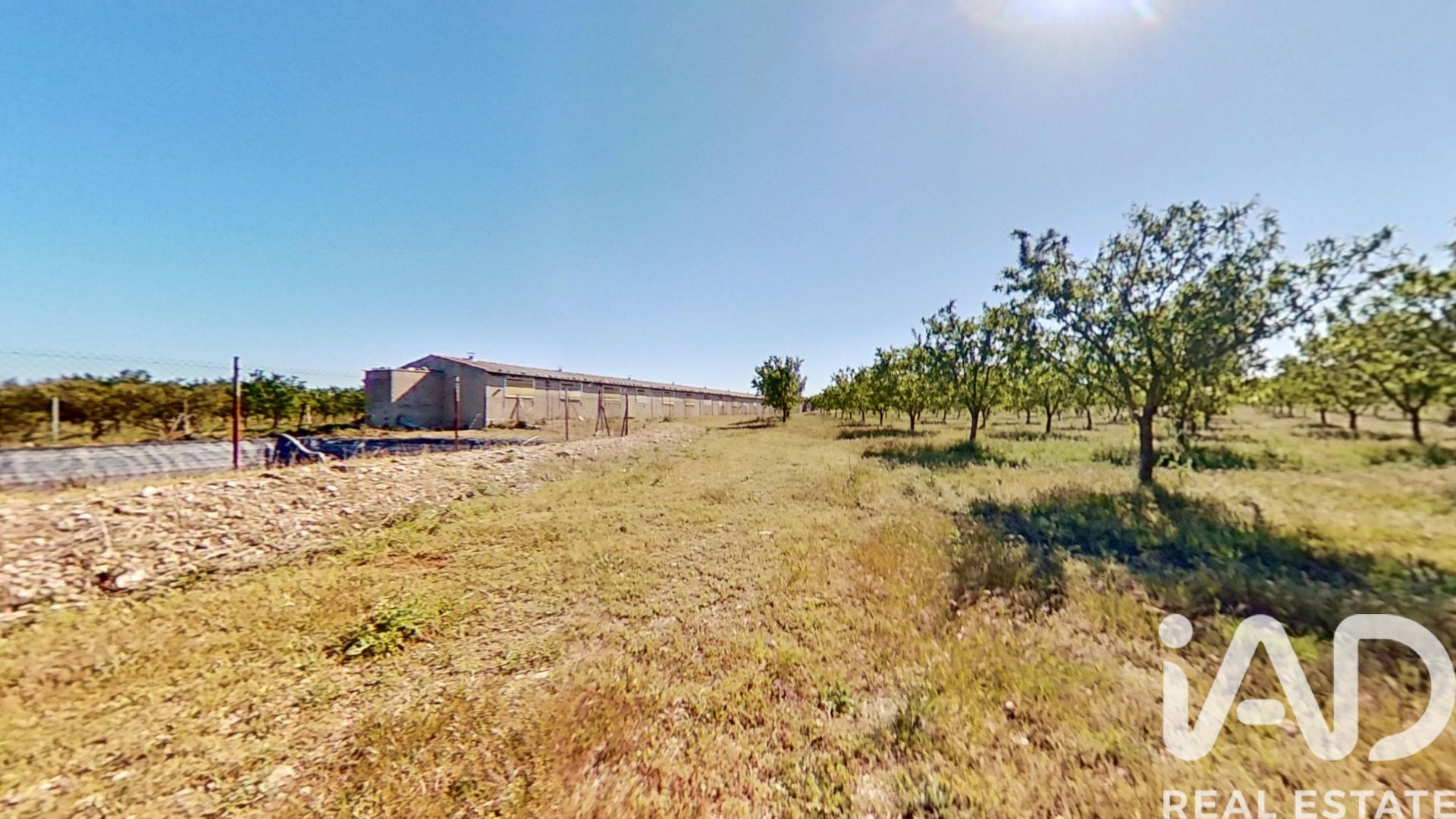 Gewerbeimmobilien in Ulldecona, Tarragona, Spanien Nr. 172652