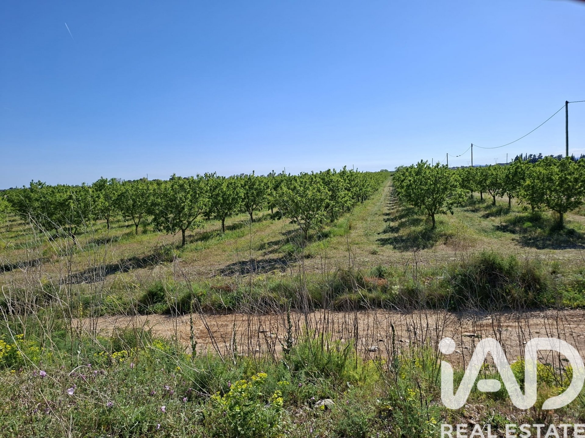 Gewerbeimmobilien in Ulldecona, Tarragona, Spanien Nr. 172652