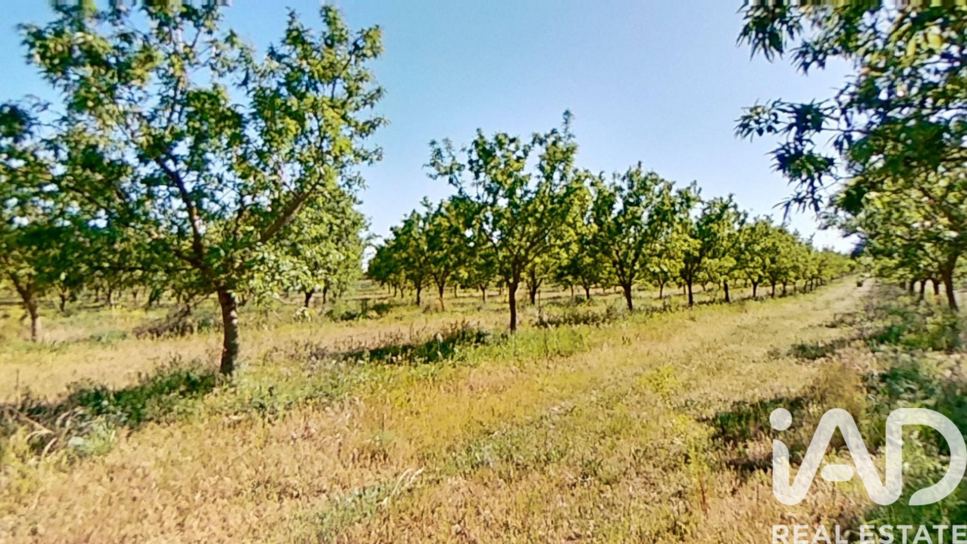 Gewerbeimmobilien in Ulldecona, Tarragona, Spanien Nr. 172652