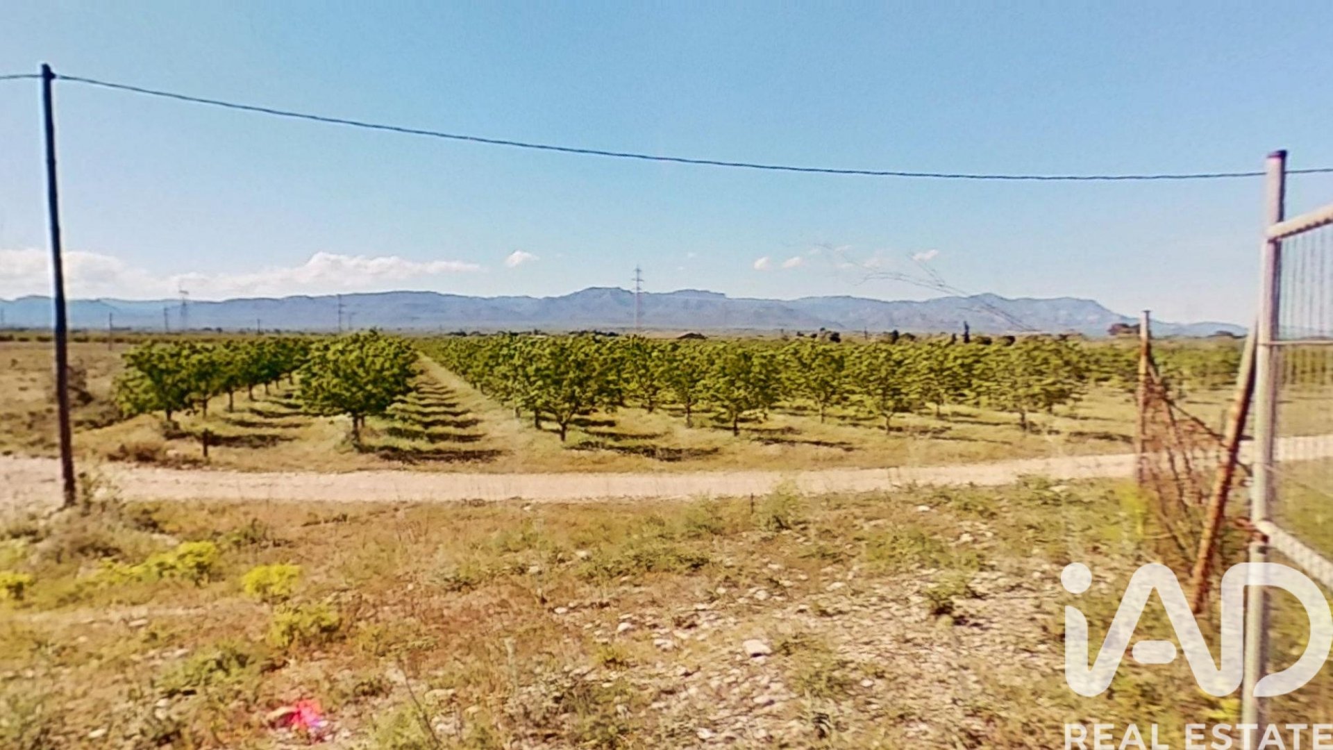 Gewerbeimmobilien in Ulldecona, Tarragona, Spanien Nr. 172652