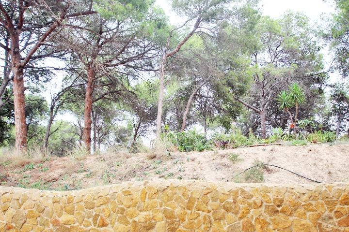 Appartamento a Guardamar del Segura, Alicante, Spagna 3 camere da letto, 75 mq. N° 183643