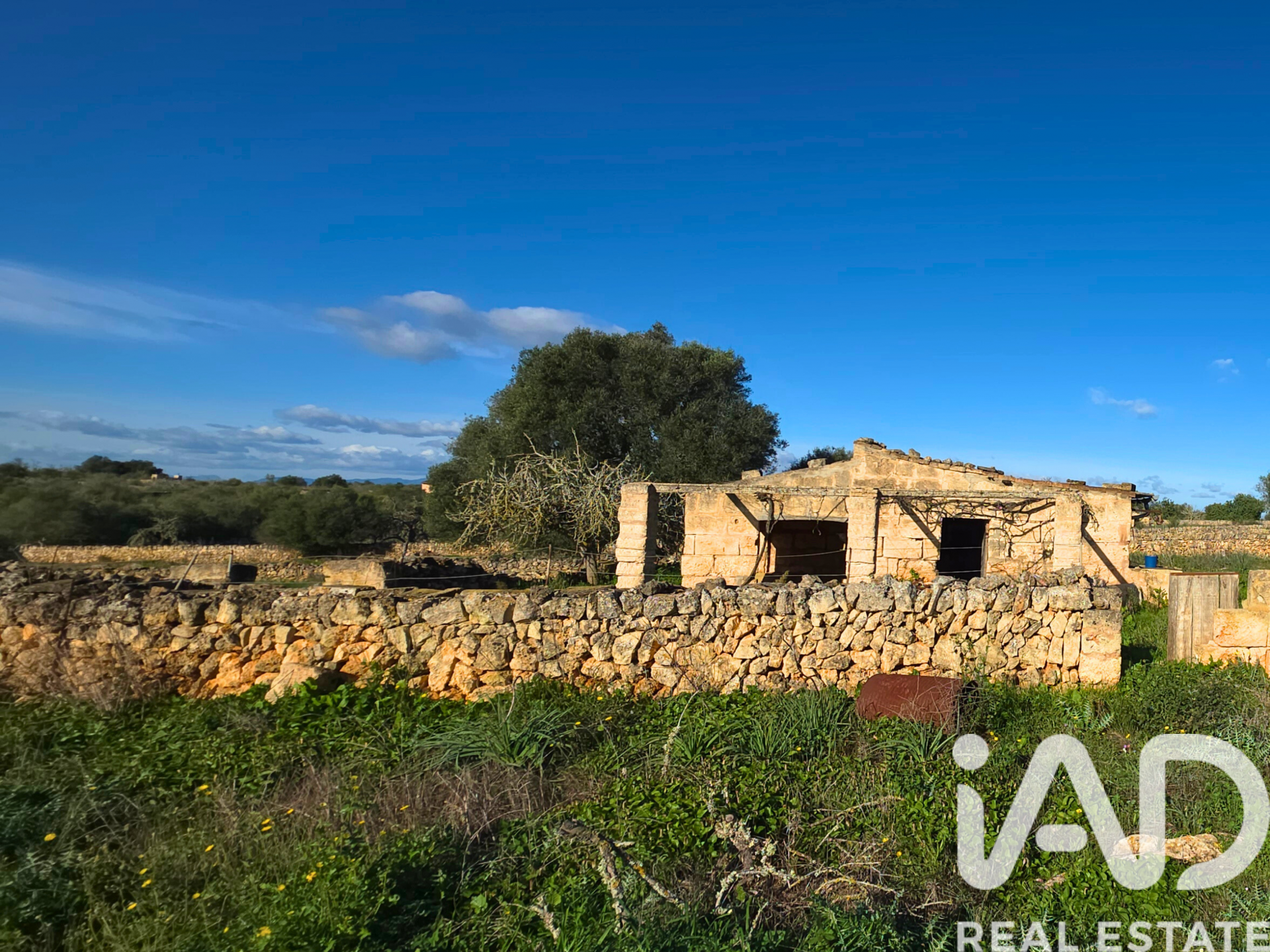 Działka w Santa Margalida, Mallorca, Hiszpania 14125 mkw. nr 185506