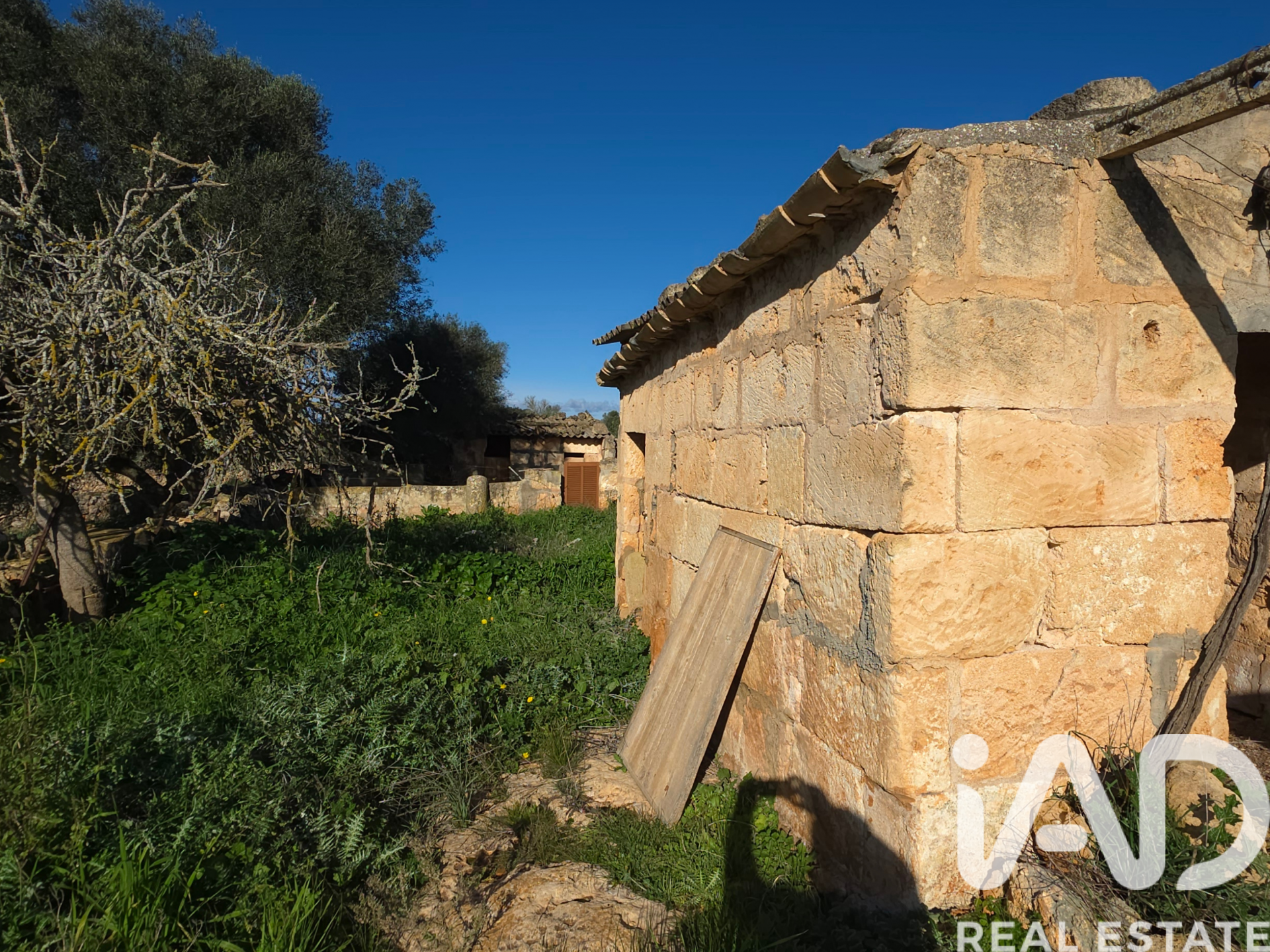 Działka w Santa Margalida, Mallorca, Hiszpania 14125 mkw. nr 185506