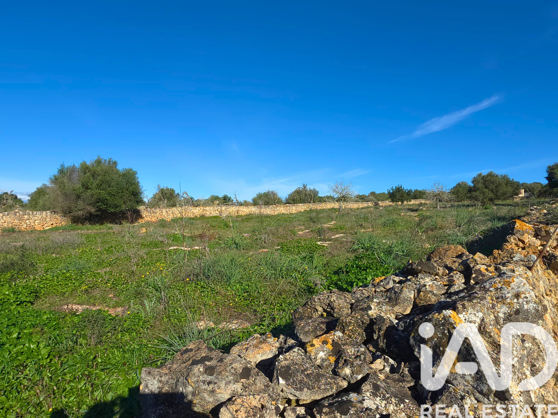 Działka w Santa Margalida, Mallorca, Hiszpania 14125 mkw. nr 185506