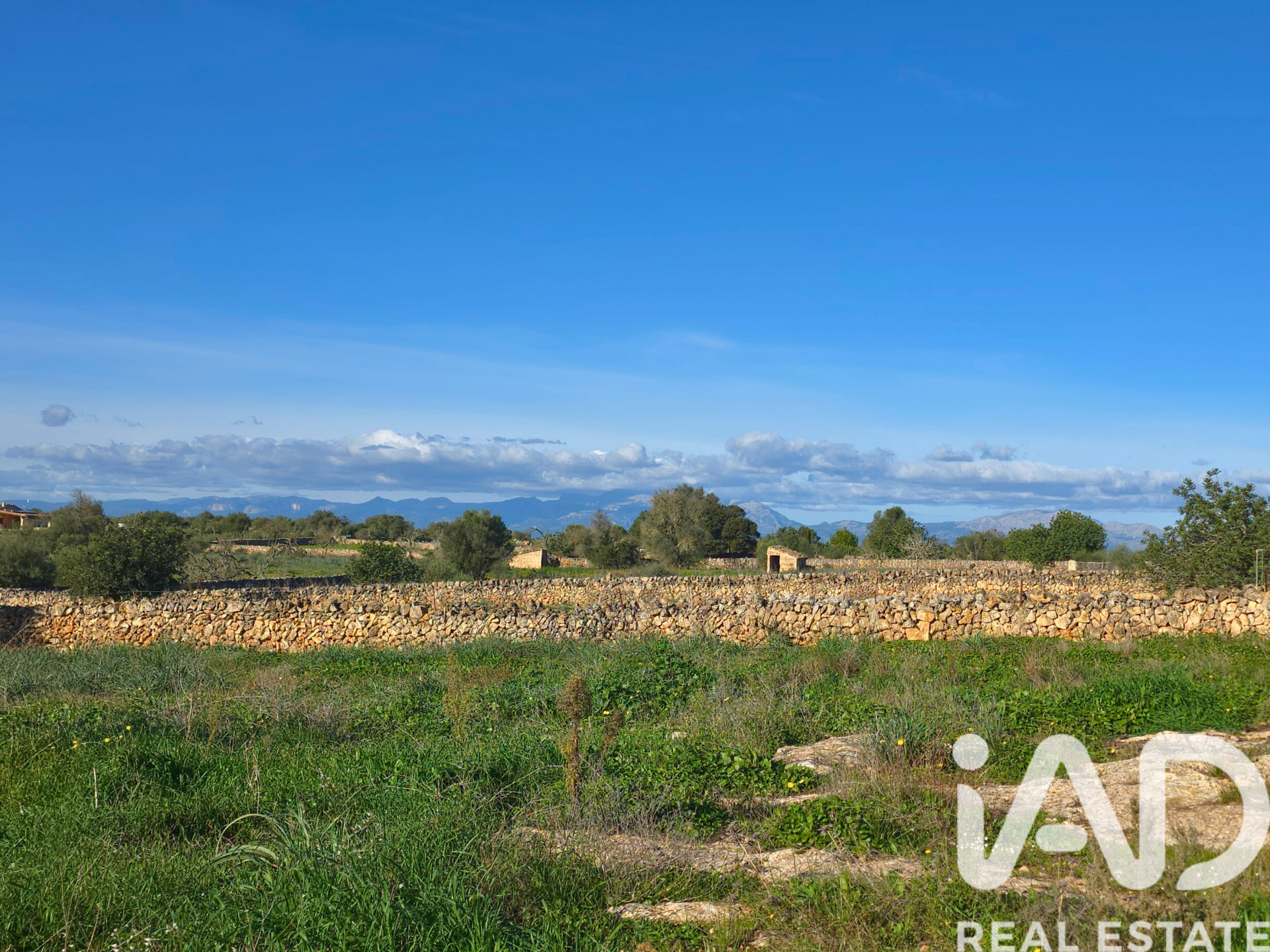 Działka w Santa Margalida, Mallorca, Hiszpania 14125 mkw. nr 185506