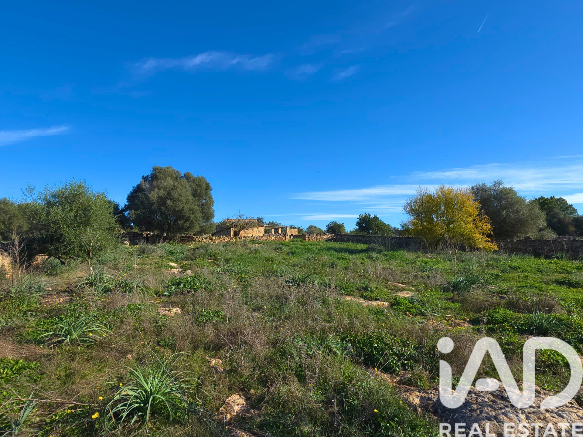 Działka w Santa Margalida, Mallorca, Hiszpania 14125 mkw. nr 185506
