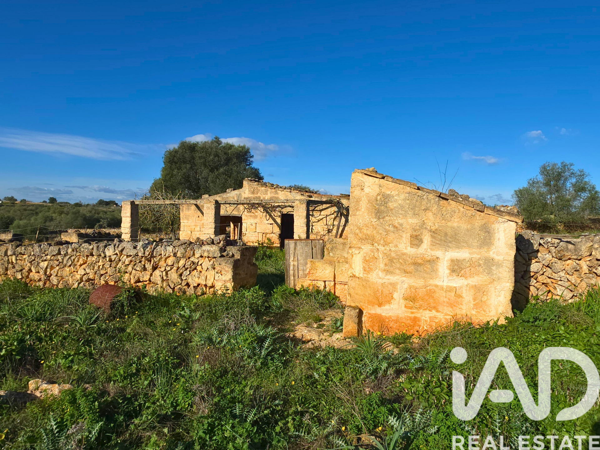 Działka w Santa Margalida, Mallorca, Hiszpania 14125 mkw. nr 185506
