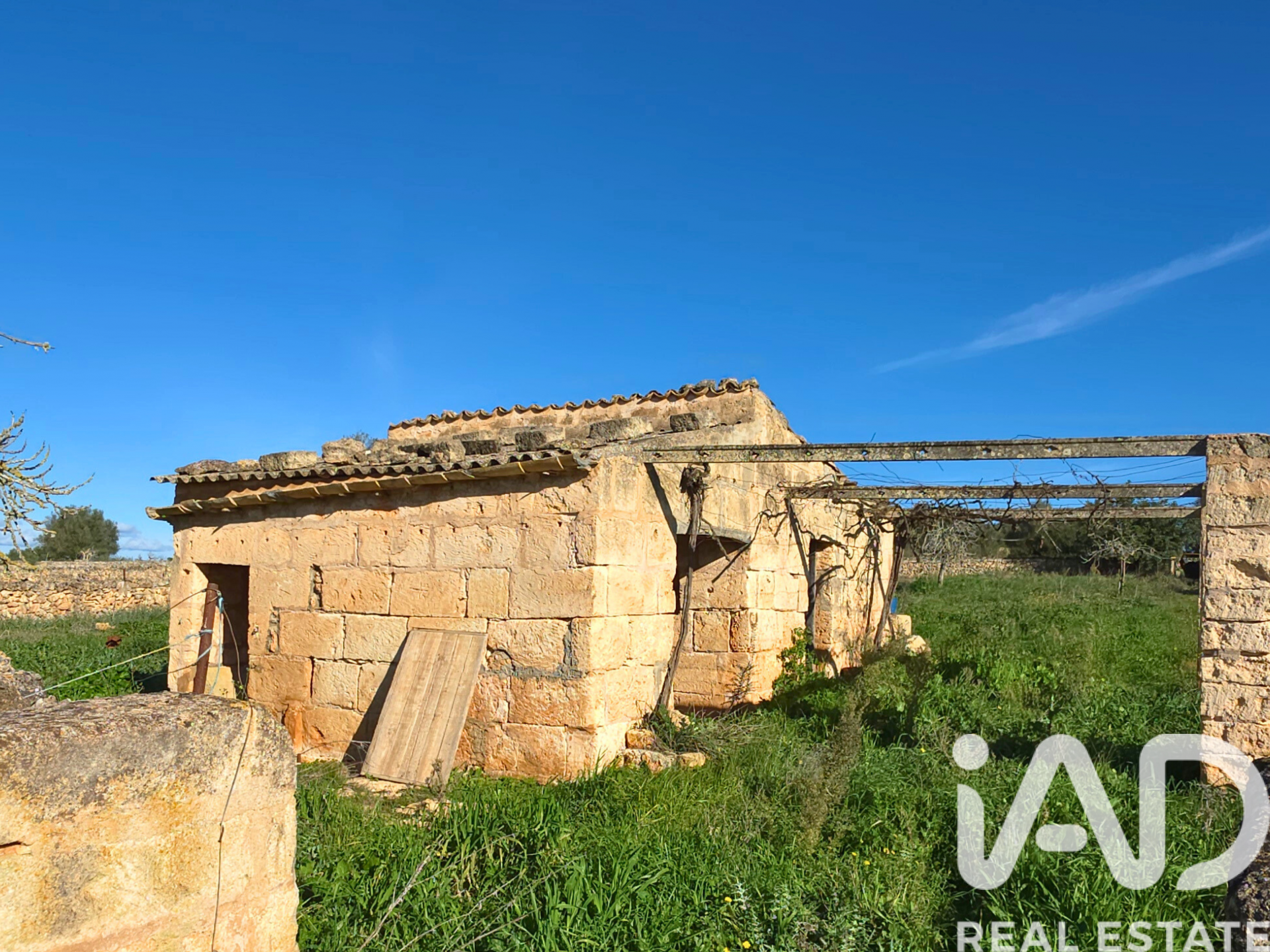 Działka w Santa Margalida, Mallorca, Hiszpania 14125 mkw. nr 185506