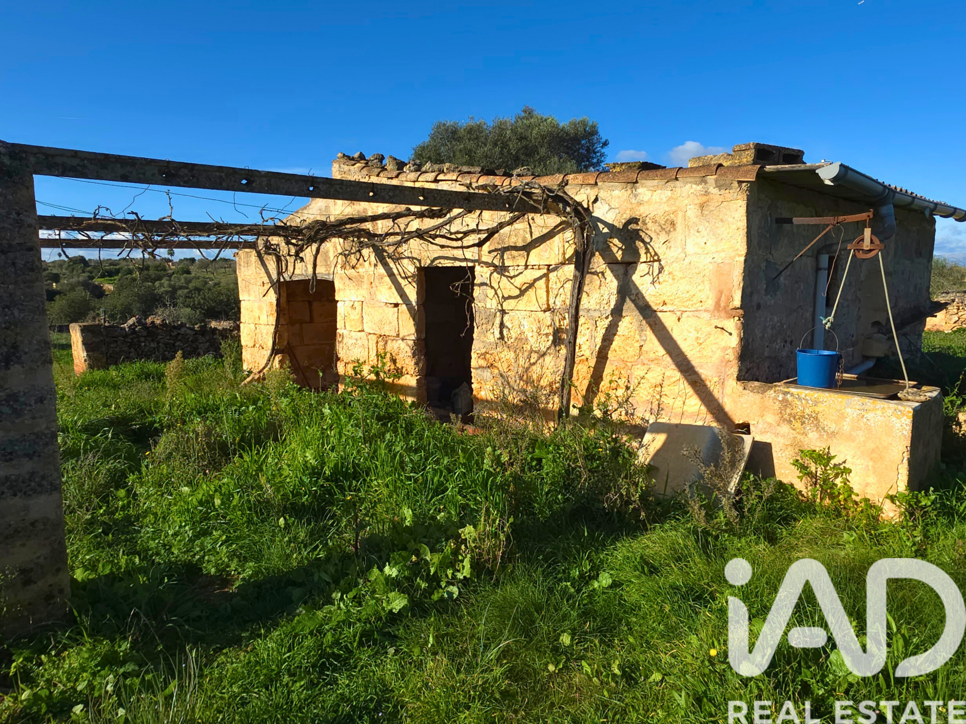 Działka w Santa Margalida, Mallorca, Hiszpania 14125 mkw. nr 185506