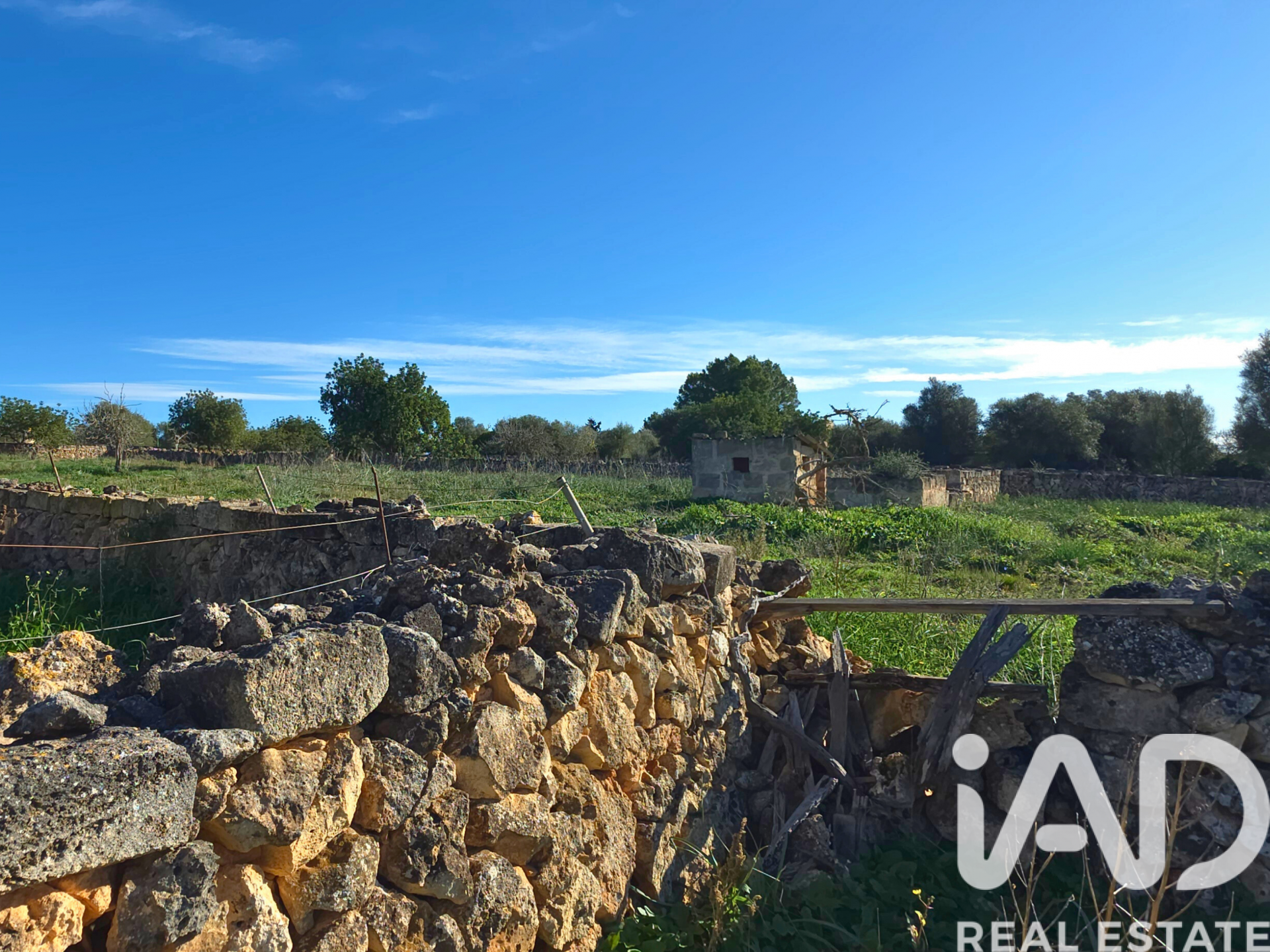 Działka w Santa Margalida, Mallorca, Hiszpania 14125 mkw. nr 185506