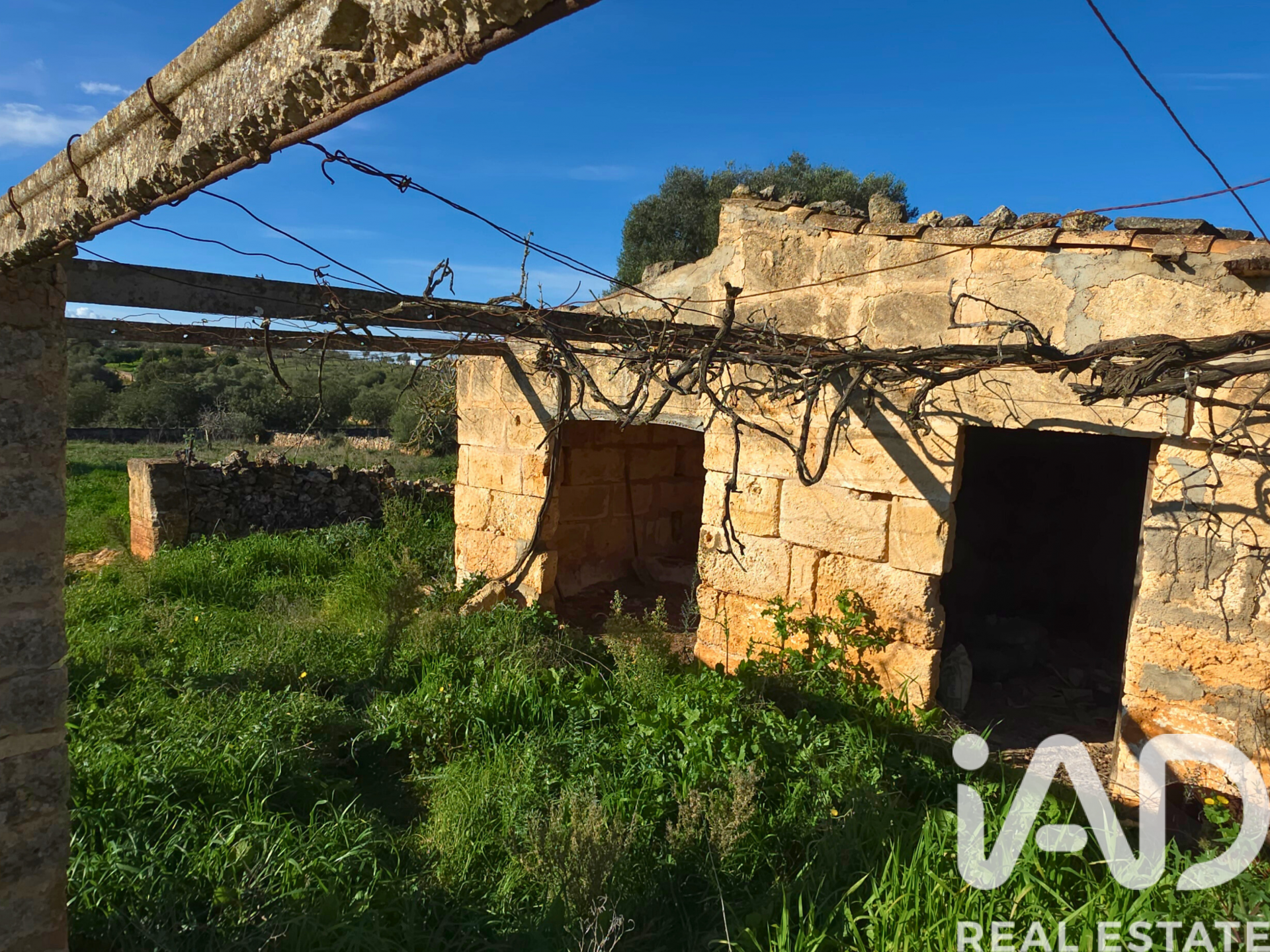 Działka w Santa Margalida, Mallorca, Hiszpania 14125 mkw. nr 185506