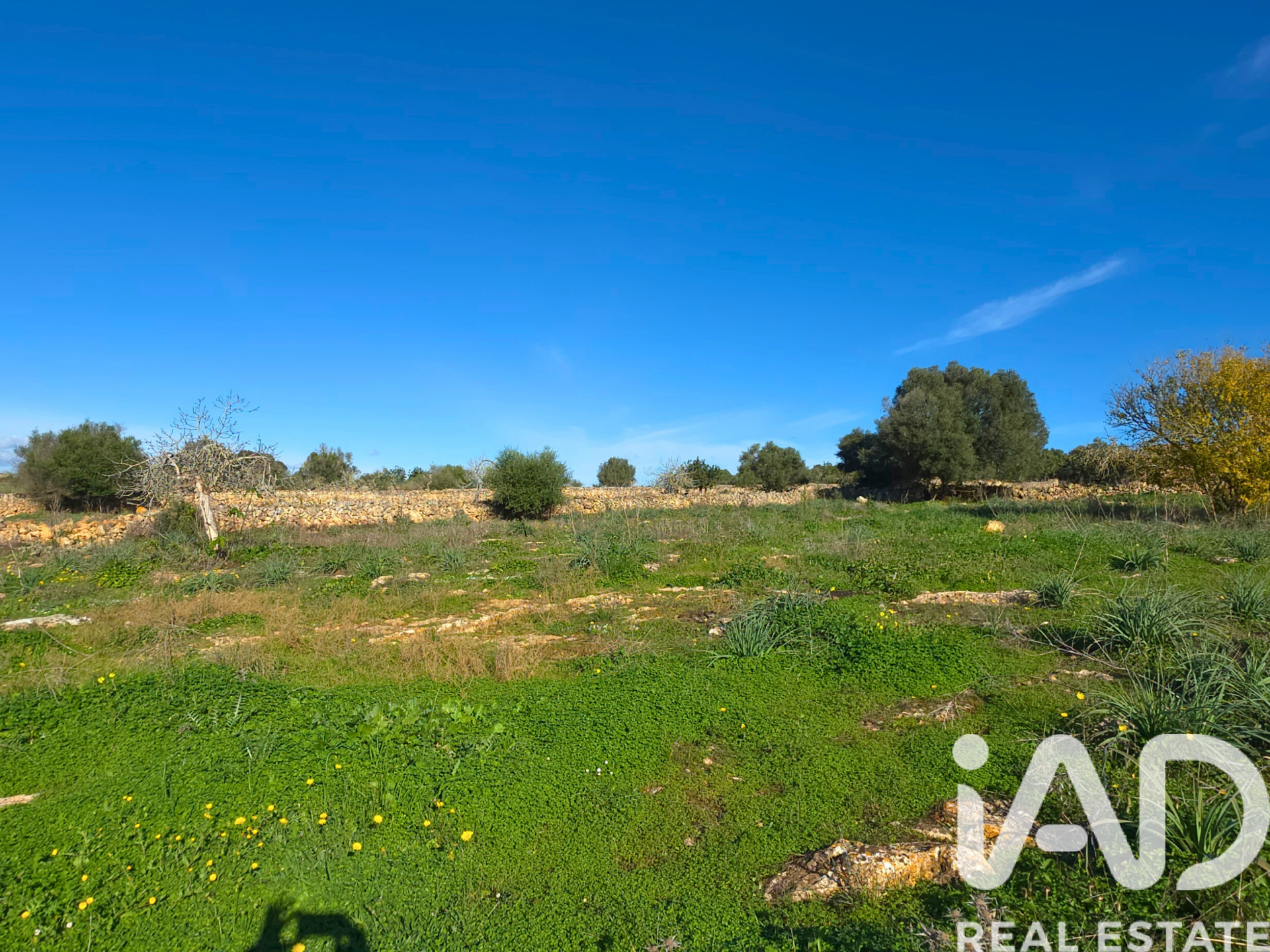 Działka w Santa Margalida, Mallorca, Hiszpania 14125 mkw. nr 185506