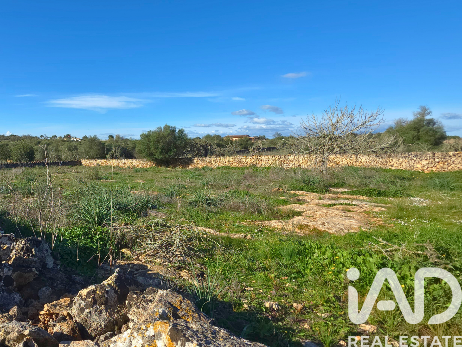 Działka w Santa Margalida, Mallorca, Hiszpania 14125 mkw. nr 185506