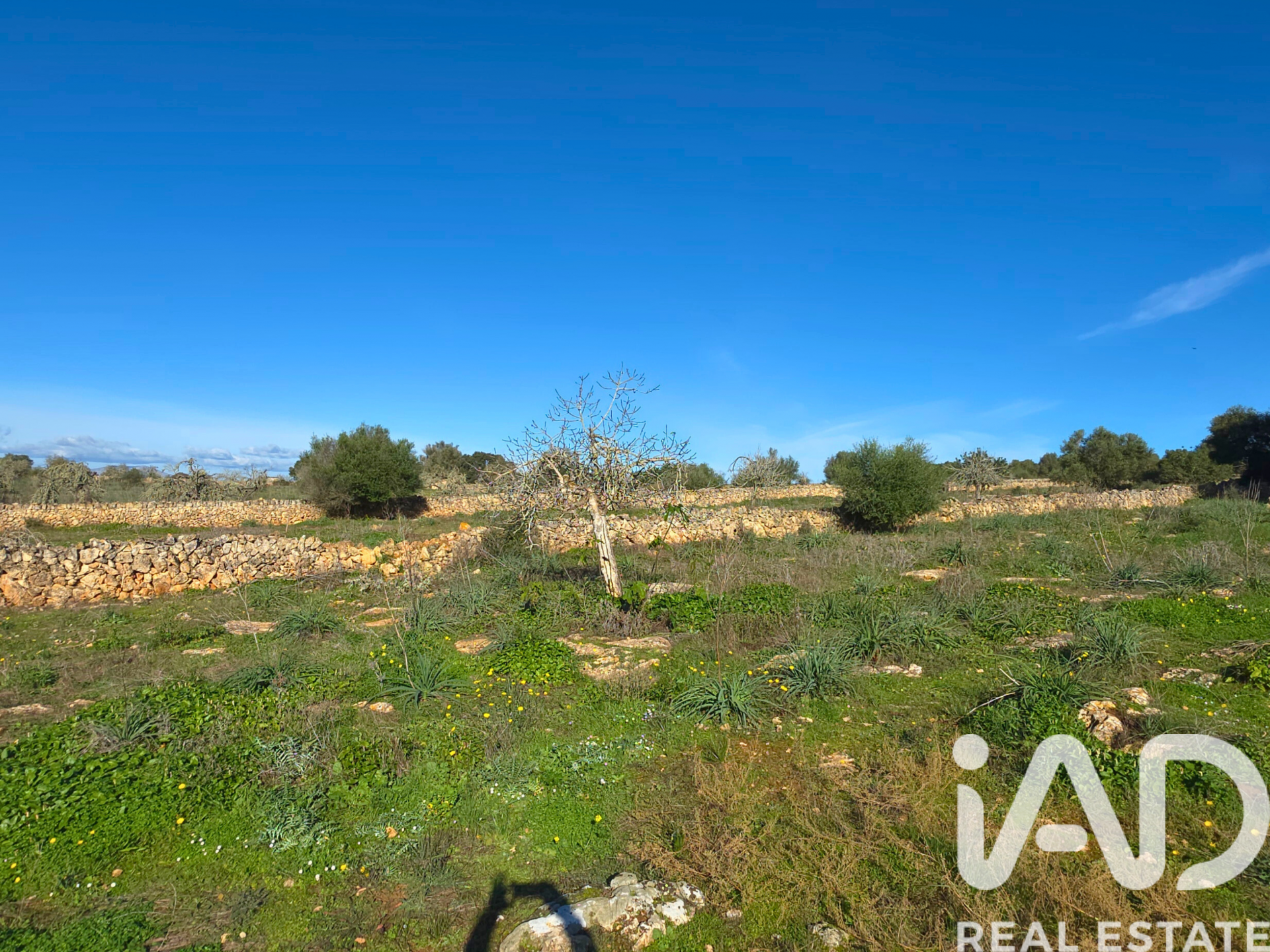 Działka w Santa Margalida, Mallorca, Hiszpania 14125 mkw. nr 185506