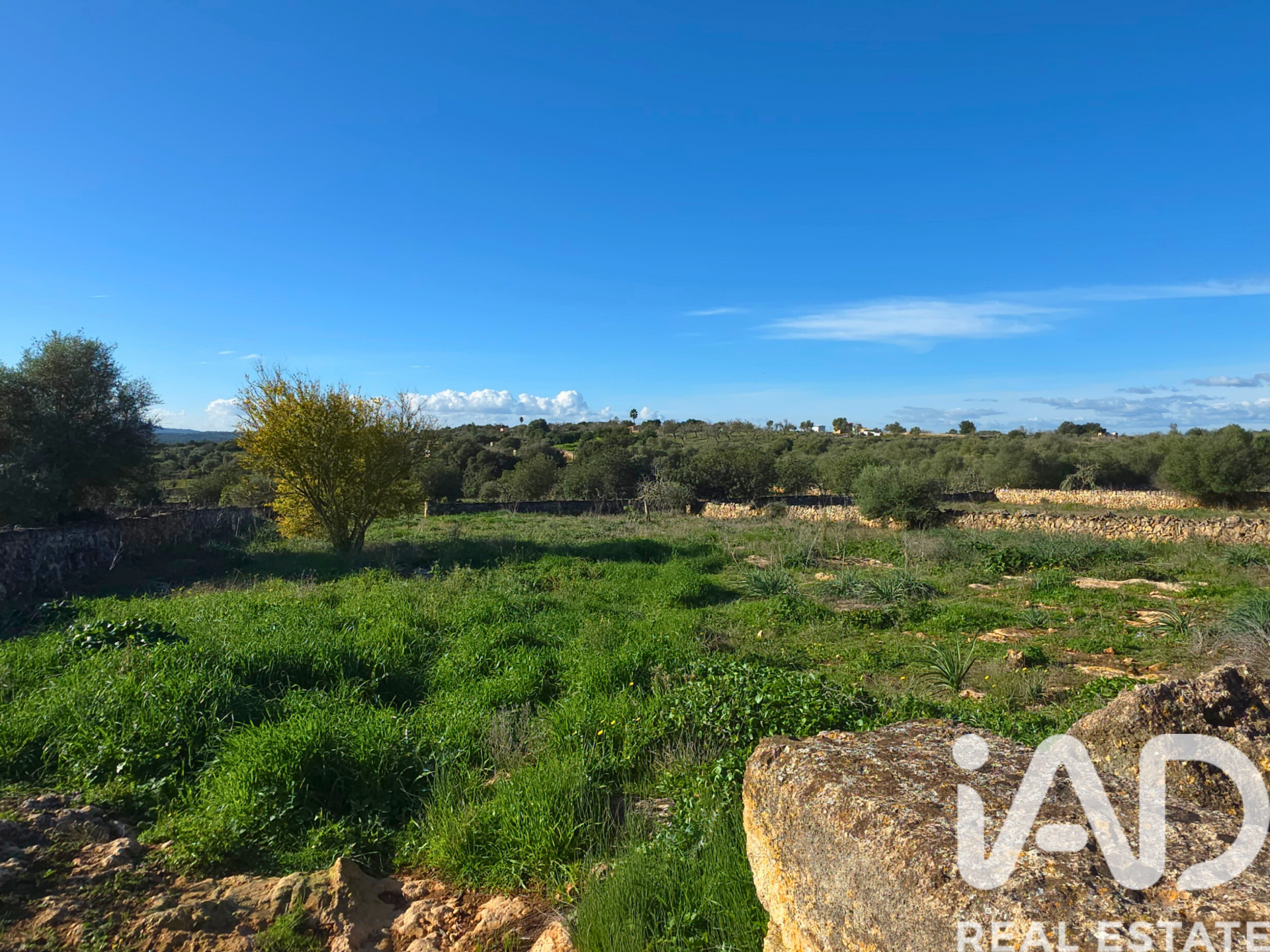 Działka w Santa Margalida, Mallorca, Hiszpania 14125 mkw. nr 185506
