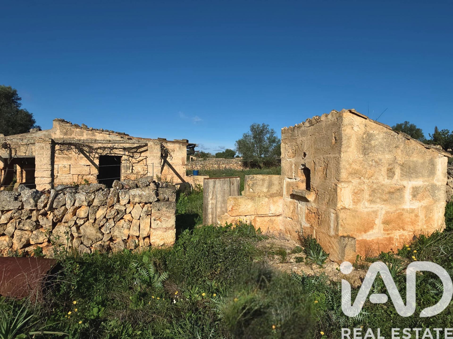 Działka w Santa Margalida, Mallorca, Hiszpania 14125 mkw. nr 185506