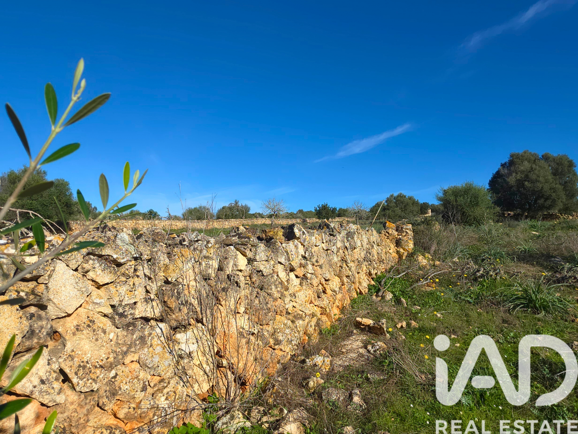 Działka w Santa Margalida, Mallorca, Hiszpania 14125 mkw. nr 185506