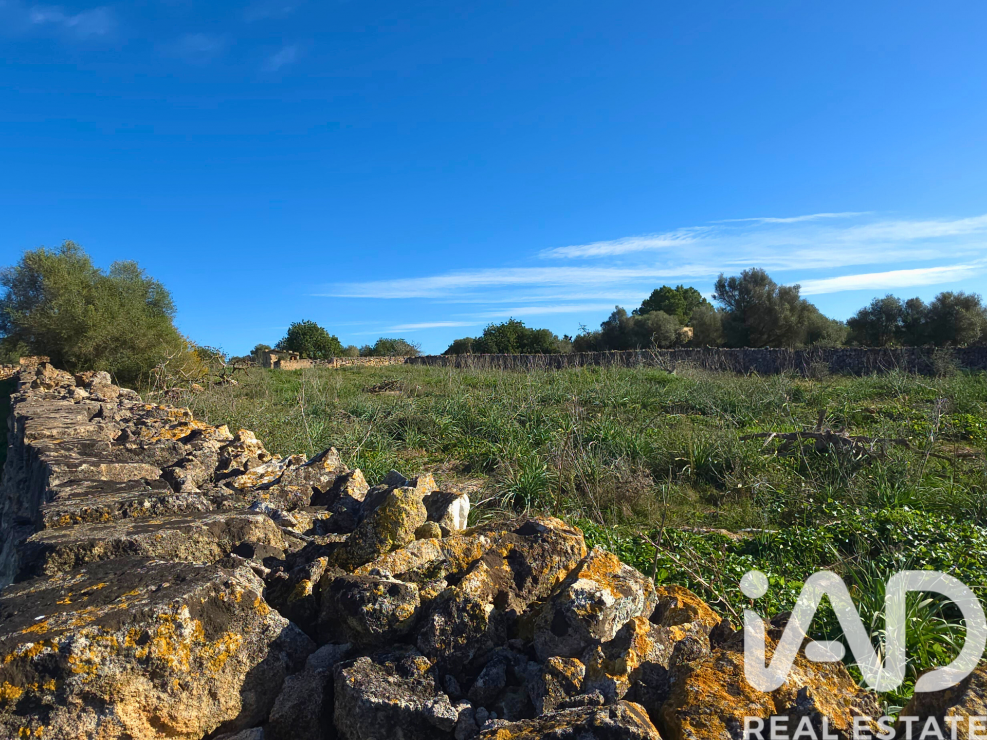Działka w Santa Margalida, Mallorca, Hiszpania 14125 mkw. nr 185506