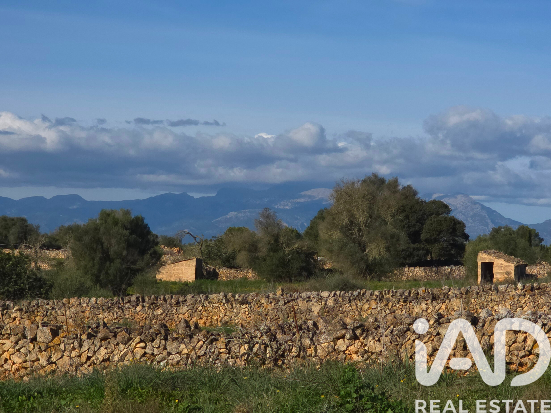 Działka w Santa Margalida, Mallorca, Hiszpania 14125 mkw. nr 185506