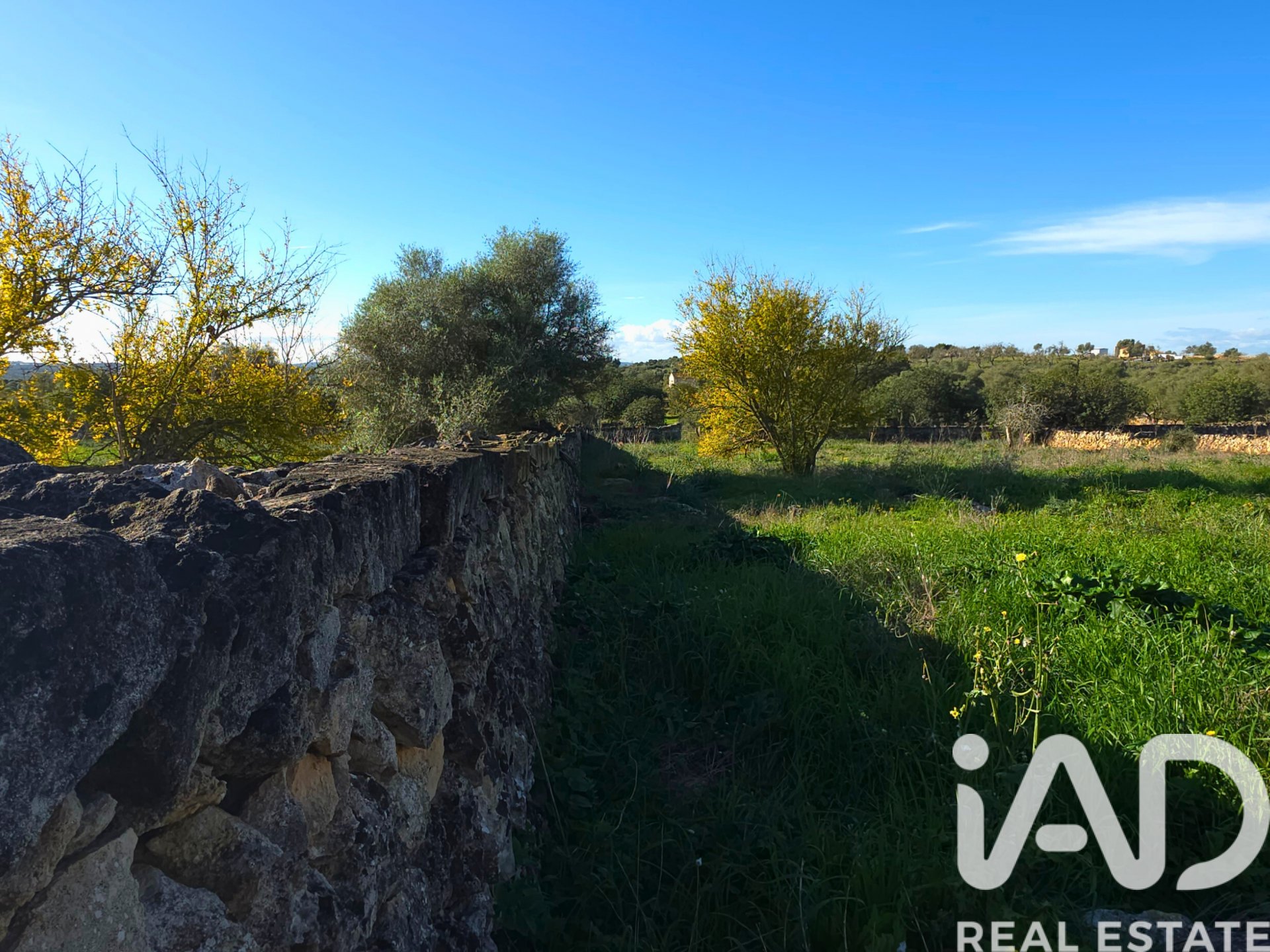 Działka w Santa Margalida, Mallorca, Hiszpania 14125 mkw. nr 185506