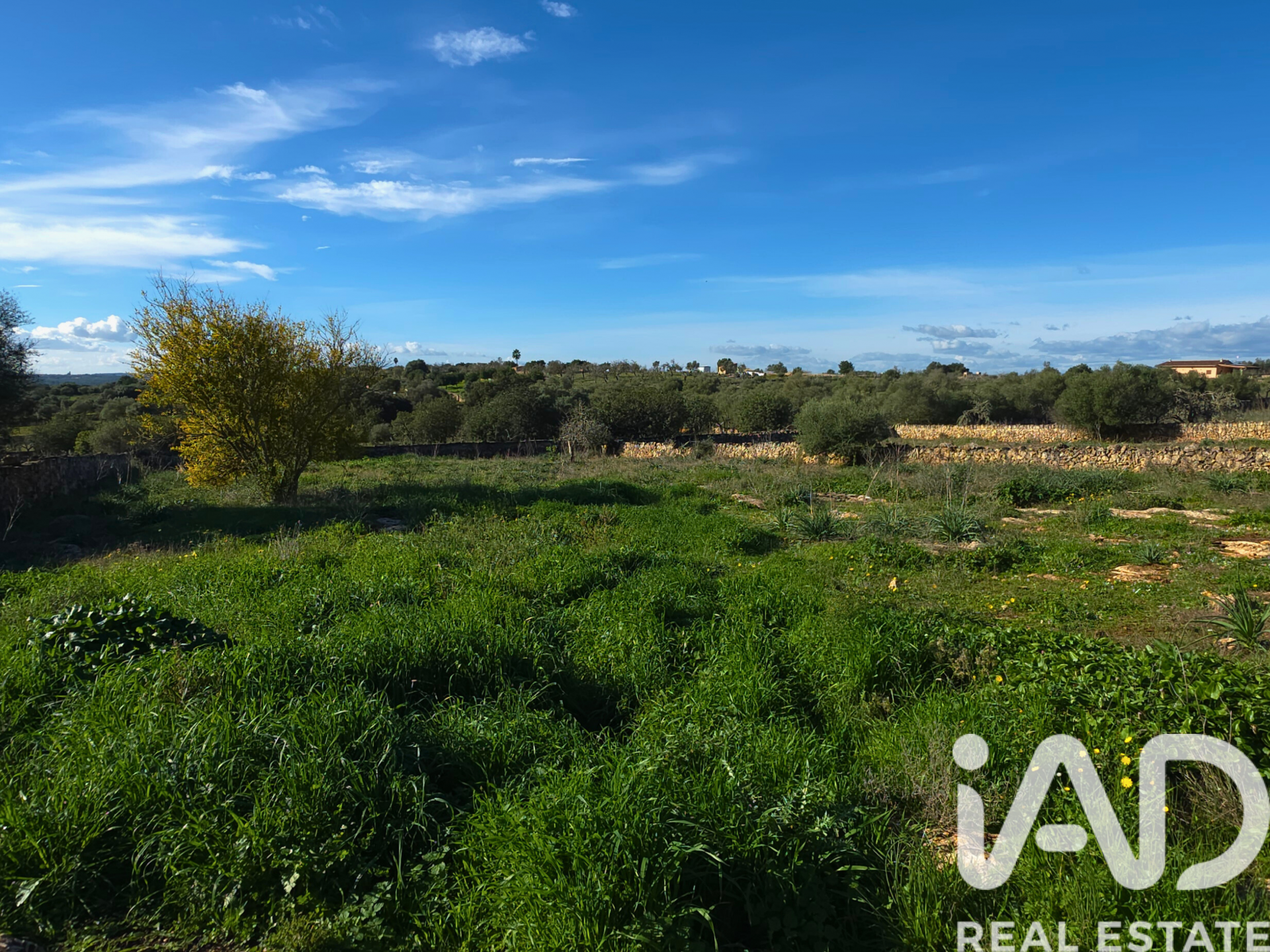 Działka w Santa Margalida, Mallorca, Hiszpania 14125 mkw. nr 185506