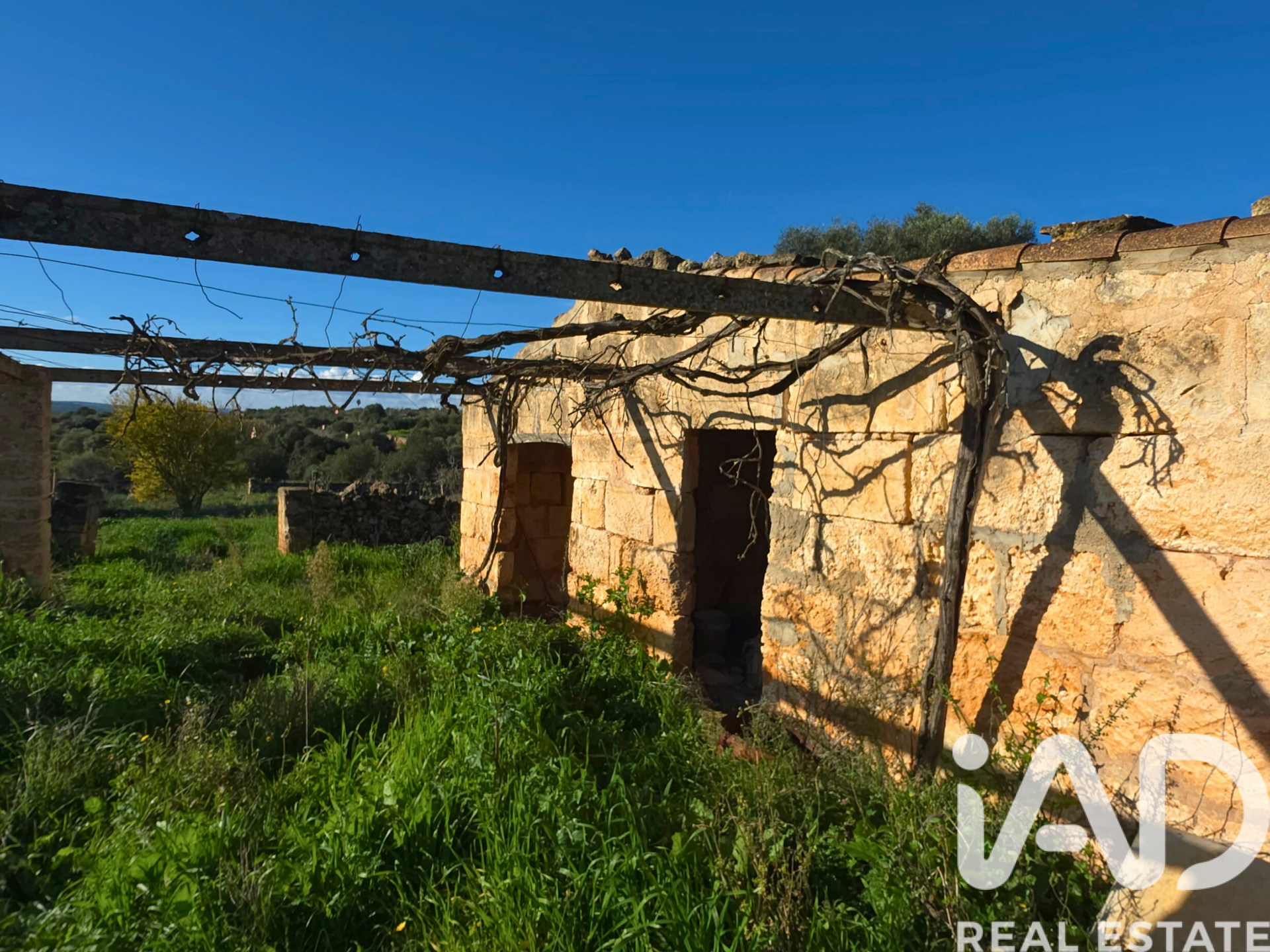 Działka w Santa Margalida, Mallorca, Hiszpania 14125 mkw. nr 185506