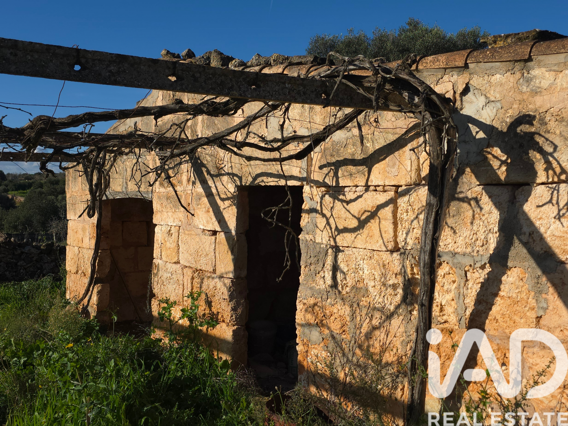 Działka w Santa Margalida, Mallorca, Hiszpania 14125 mkw. nr 185506